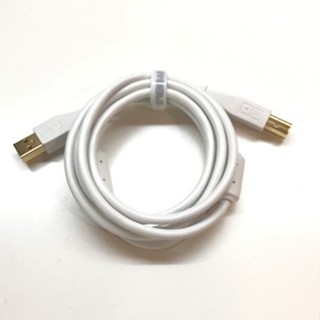 Dj TechTools -專業DJ USB線材Chroma Cable - 白（直頭/L頭)