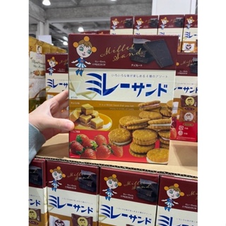 ❄️現貨1❄️日本Costco好市多美樂小圓餅4種口味家庭包 60枚入 好吃 柚子白巧克力草莓 巧克力焦糖 小朋友