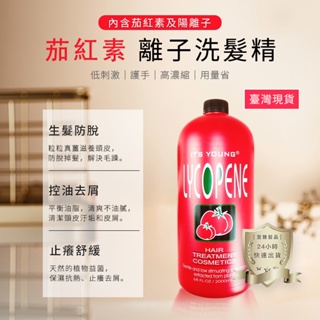 【年輕貴族 】茄紅素 離子專業洗髮精 大容量洗髮精，職業用 2000ml 家庭號