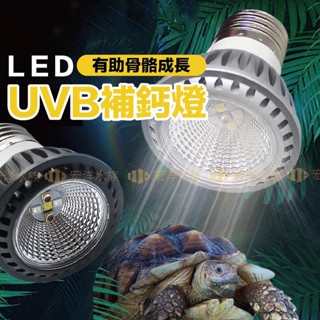 【爬寵專用☀️UVB補鈣燈5/10.0】助鈣合成 曬背 成長 〞陸龜補鈣燈、蜥蜴補鈣燈、UVB燈泡、曬背燈泡、守宮補鈣燈