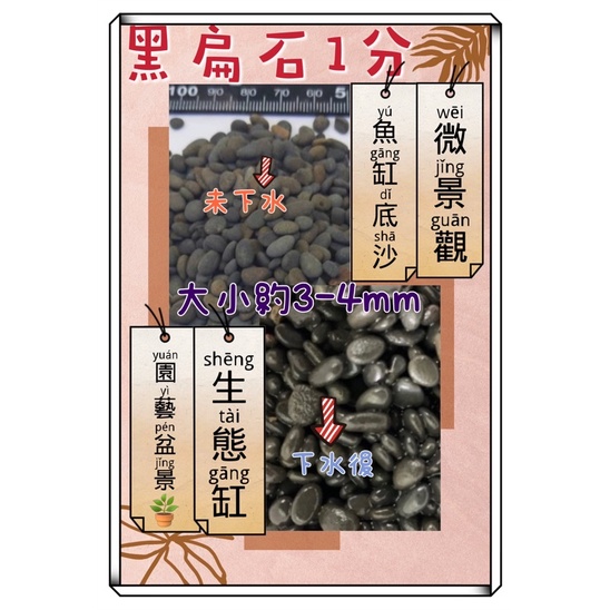 黑扁石 1.0 黑膽石 魚缸 水族用品 烏龜 增豔 造景