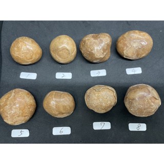 D6100天然泰國龍宮舍利原礦 核心舍利 龍宮舍利 原礦 原石 擺件