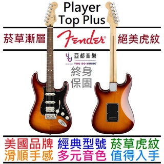 Fender Strat Player Plus Top HSS 電 吉他 菸草漸層 單單雙 墨廠 終身保固