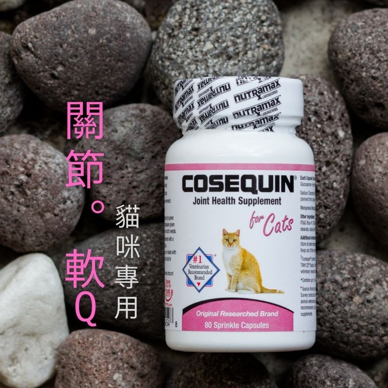 🐱【一嘴毛】❤️ 萃麥思 Cosequin DS Nutramax 關健適 ⭑ 貓用關節保健軟骨素 膠囊 / 80顆