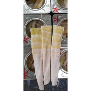 ［福氣南北貨］30斤桶筍/熟/石篙筍（現貨）全省宅配