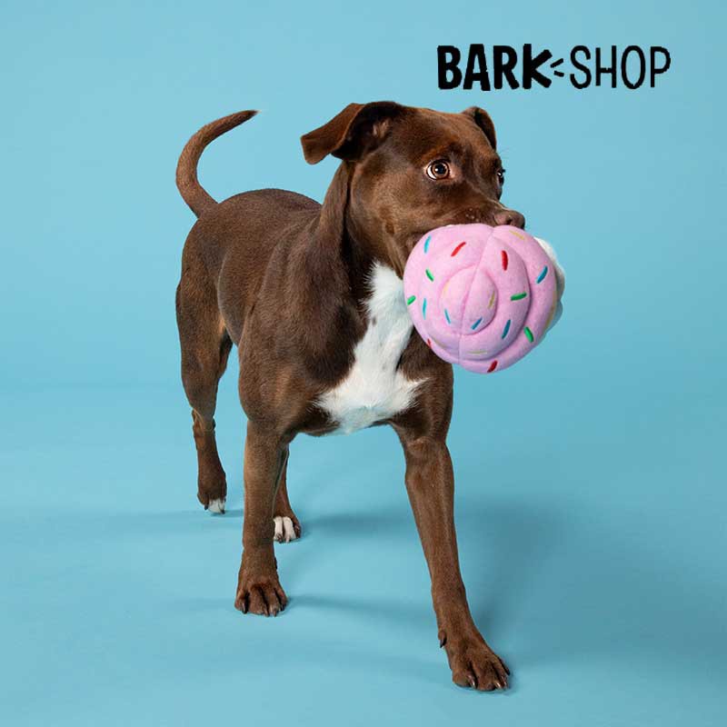 Barkshop 紙杯蛋糕 發聲玩具 造型玩具 丟接遊戲 犬用玩具 寵物玩具 甜點造型 杯子蛋糕