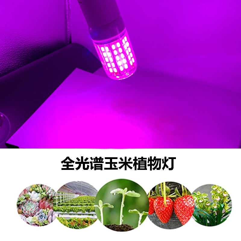 【110V/220V 可選】新款led植物玉米燈泡E27 96珠5730夾子植物生長燈多肉植物 補光燈