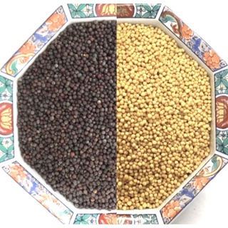 『平易行』黃芥末籽 & 黑芥末籽 (25g～100g) 產地：印度 芥末子 香料 辛香料 Mustard Seed