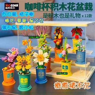 【方舟mini積木】⭐咖啡杯植物積木~臺灣現貨⭐滿天星 水仙 蜀葵 蘭松 積木花 迪庫 模擬 盆栽 花卉 鑽石微型積木