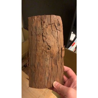 杉木板 原木邊切含樹皮 鹿角蕨上板材料 園藝植物
