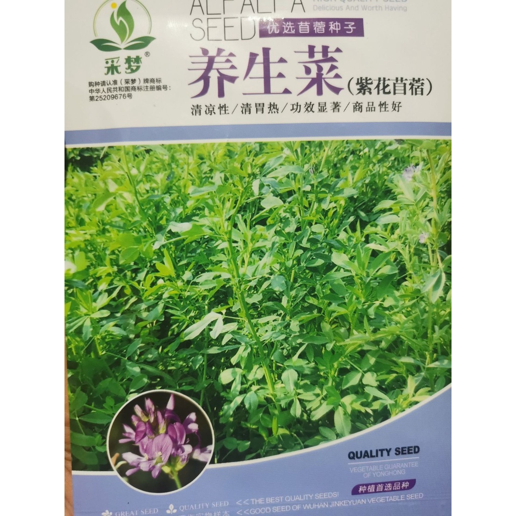 紫花苜蓿 優惠推薦 22年11月 蝦皮購物台灣