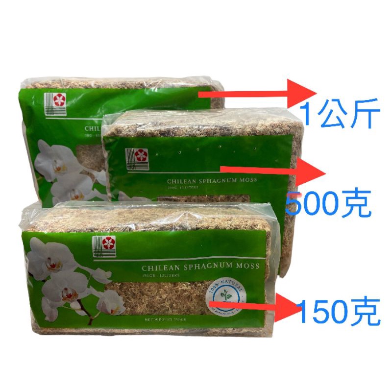 現貨【全館590超取免運】智利水苔(水草)原裝包食蟲植物 蘭花 苦苣苔 甲蟲 高壓繁殖 鋪底【蒔花弄草】