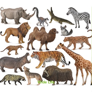 【W先生】CollectA 英國高擬真模型 野生動物模型 長頸鹿 斑馬 老虎 獅子 大象 犀牛 河馬 黑豹 樹懶 猩猩