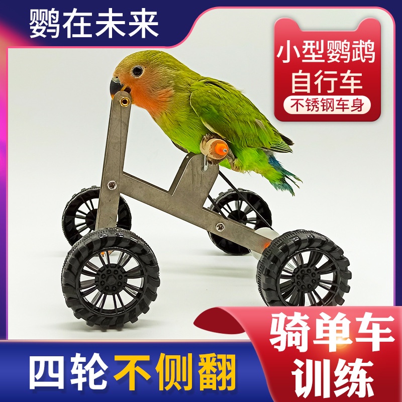 鸚鵡玩具訓練腳踏車訓鳥用品道具單車玄鳳小太陽和尚金太陽腳踏車