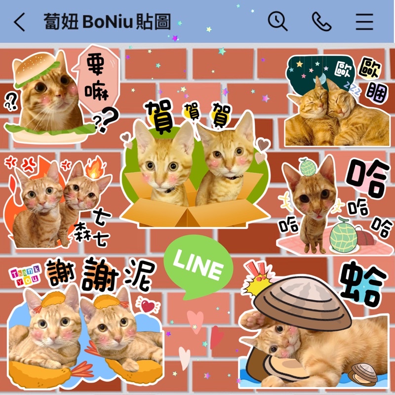 BoNiu蔔妞🤎蔔妞貼圖客製(2)🤎Line貼圖製作 客製貼圖 Line貼圖 賴貼圖 寶寶貼圖 寵物貼圖 靜態貼圖