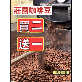 【咖啡豆半磅買二送一】衣索比亞 / 馬拉威 /瓜地馬拉 /薩爾瓦多 /哥倫比亞 /巴西
