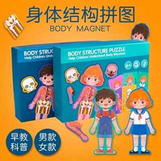 CK51★身體結構拼圖人體認知拼圖幼兒園寶寶兒童安全教育木製益智玩具