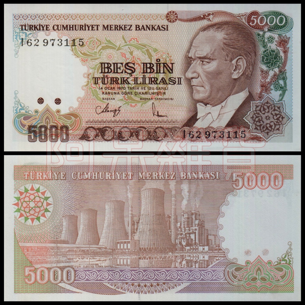 阿呆雜貨 現貨實拍 土耳其 5000 里拉 1990年 鈔票 紙鈔 鈔 幣 錢幣 外鈔 外幣 非現行貨幣 | 蝦皮購物