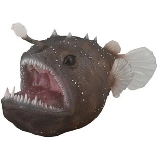 「芃芃玩具」COLLECTA 動物模型 安康魚 仿真 R88967 教材 教學 貨號88967