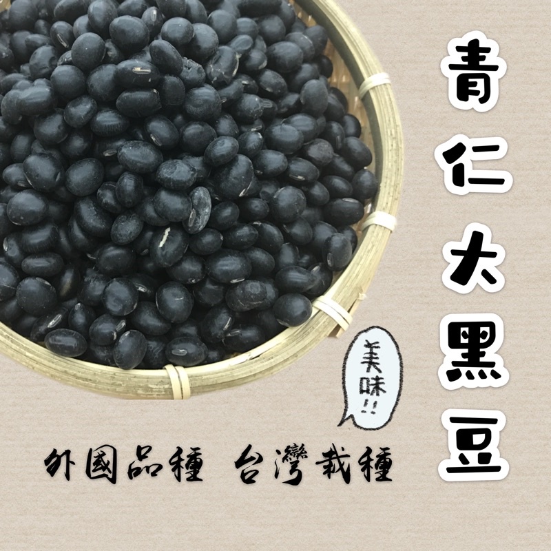 根正嚴選｜青仁大黑豆 外國品種 台灣栽種600g Big Black Soybean 可以做蜜黑豆