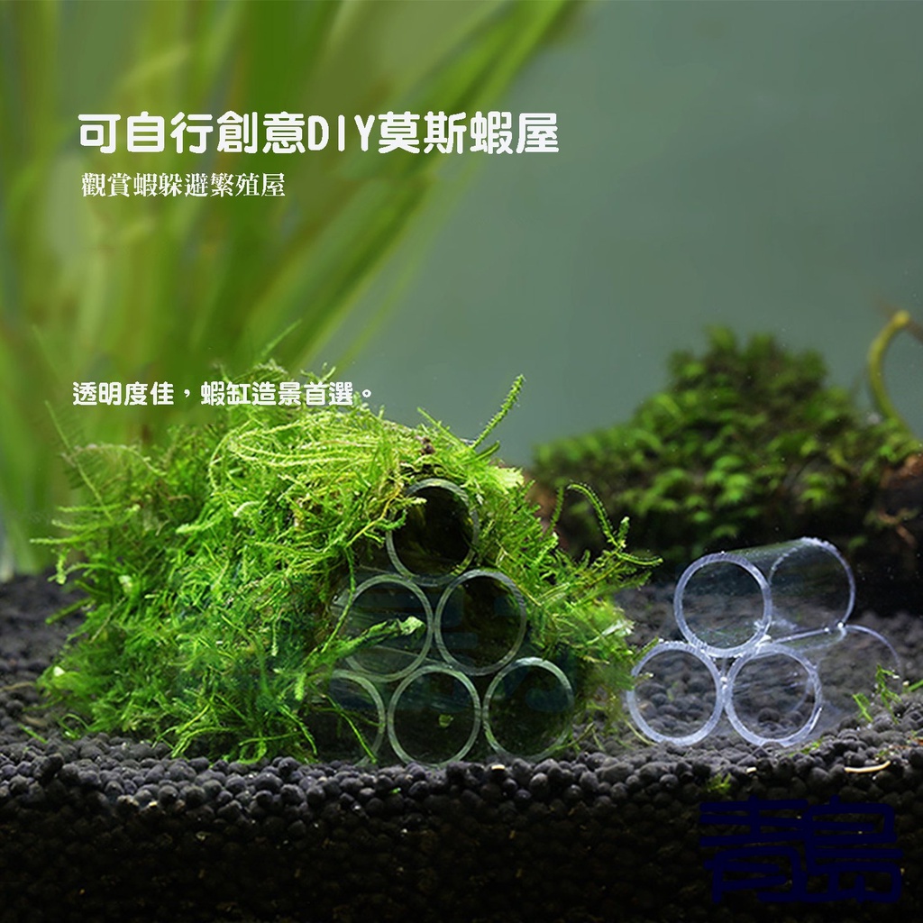 青島水族 壓克力工坊 3管6管 透明蝦屋管蝦屋蝦管蝦罐繁殖甕躲藏管水晶蝦專用繁殖組 蝦皮購物