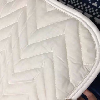 日本宜得利商品 Nitori 抗菌 混羊毛 床墊 吸濕排汗發熱