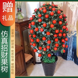摩登時尚一派 招財果樹假樹模擬樹金桔樹大型假花盆栽落地仿真植物客廳擺設裝飾