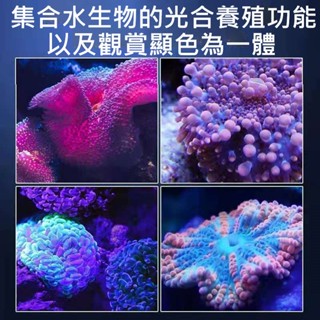 海水led燈 水族相關優惠推薦 寵物22年10月 蝦皮購物台灣