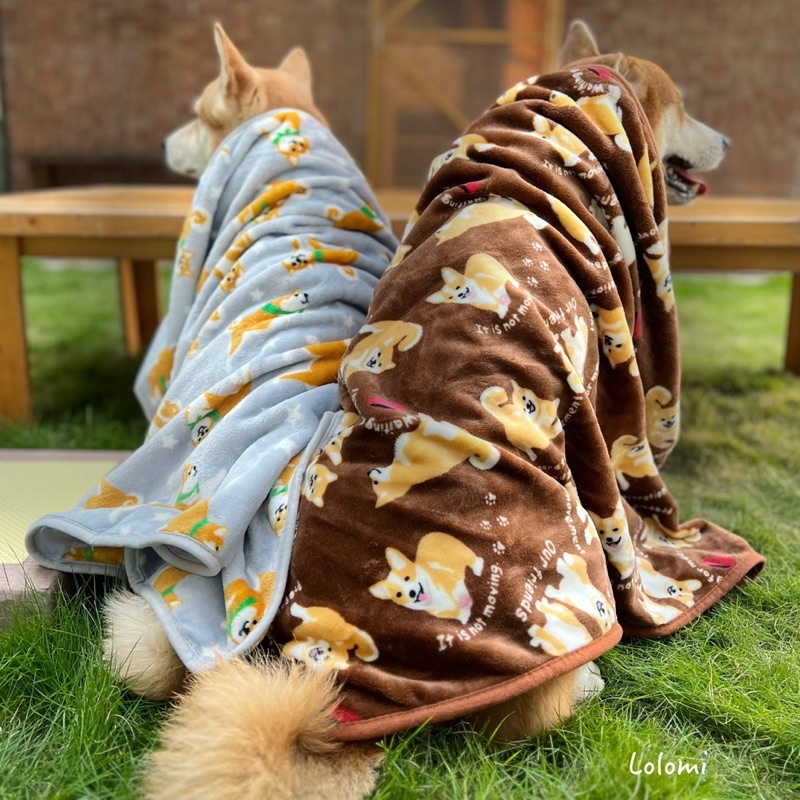 🤍現貨-狗狗系列 柴犬毛毯 毛毯 法蘭絨材質 寵物配件 冬天保暖