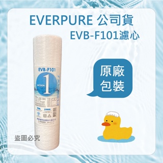 EVERPOLL 愛惠浦 EVB-F101 10吋 1微米 PP 棉質濾心 EVBF101 台灣公司貨