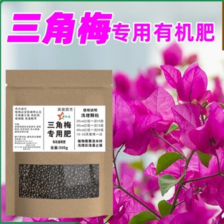 三角梅臘梅盆栽肥料 優惠推薦 22年10月 蝦皮購物台灣