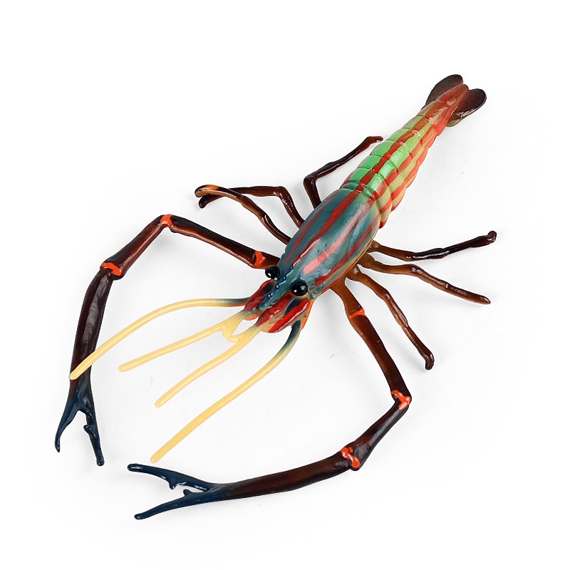 仿真 蝦 羅氏蝦 長臂蝦 兒童早教玩具 海洋生物 模型 裝飾品