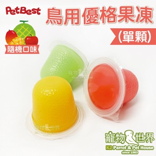臺灣製PetBest 派伊梅三味鳥用優格果凍 (單顆)│隨機口味 鸚鵡 鳥點心 水果果凍《寵物鳥世界》GS151