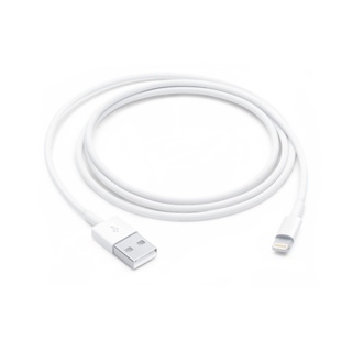 原廠 APPLE Lightning 對 USB 連接線 (1 公尺)