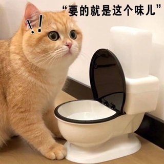 新款寵物貓咪惡搞馬桶飲水機