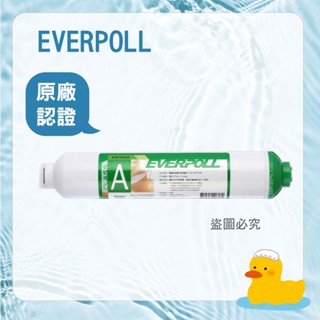 【EVERPOLL】EVB-T033A 後置活性碳濾芯 濾心 淨水 好水