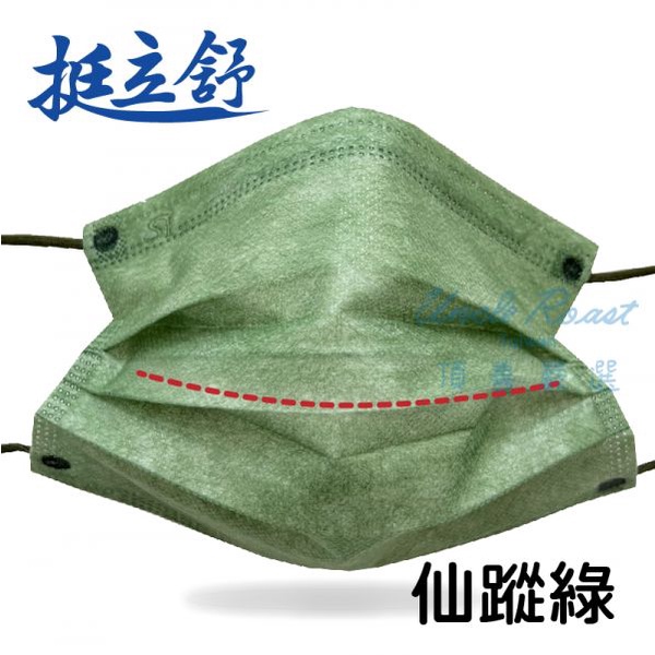 🤘台灣製 挺立舒 仙蹤綠 成人醫用(立體+平面)口罩(30入/盒)