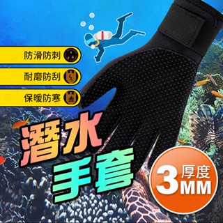 【🇹🇼加厚3mm氯丁橡膠！現貨免運 快速出貨】潛水手套 浮潛手套 防刺潛水手套 防割手套 加厚3mm潛水手套 浮潛 潛水