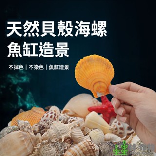 《林作物》水族專用 天然貝殼 150g / 400g裝 造景 擺件 魚缸裝飾 魚缸裝飾 魚缸造景 貝殼 海星 海螺