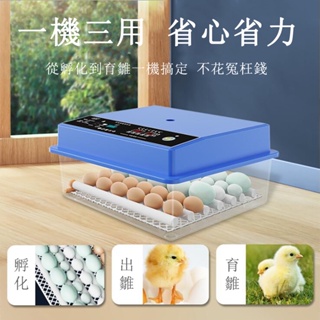 24H現貨可自取 雞蛋孵化機 小雞孵蛋器 三電設計48枚孵蛋機 孵蛋器全自動 家用型智慧控溫箱孵化箱
