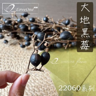 🌺LoveOneMINI.🌺聖誕花材｜黑莓｜黑莓果｜大地農園｜永生花網路花店花材嚴選【愛意花坊】