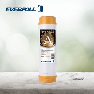 EVERPOLL10吋 愛科 EVB-M100A / M100A 前置濾心 10吋樹脂濾芯 愛惠浦 科技 標準型 樹脂