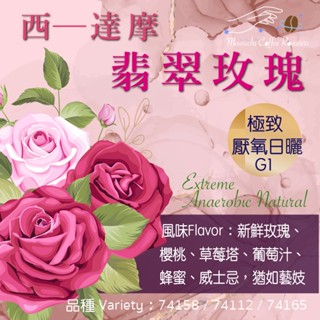 咖啡 西達摩 翡翠玫瑰 極致厭養日曬 半磅 酒香 玫瑰 草莓 藝妓 威士忌 精品咖啡 單品