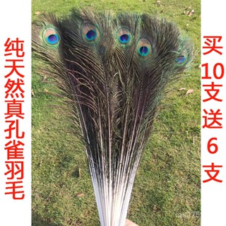 🔥臺灣爆款熱賣🔥純天然真孔雀羽毛翎尾大眼睛DIY飾品傢居擺設客廳花瓶婚慶裝飾品 JAGO