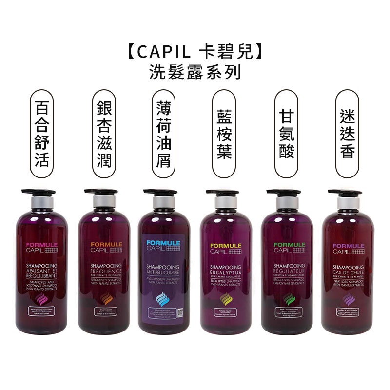 CAPIL 卡碧兒 迷迭香玉絲洗髮露 銀杏滋潤保濕 洗髮精 洗髮露 FORMULE 桑多麗 公司貨【堤緹美妍】