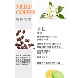 衣索比亞 水仙 淺焙 咖啡豆 咖啡熟豆 咖啡 單品咖啡 精品咖啡 手沖咖啡 自家烘焙 美鹿咖啡Meilu Coffe