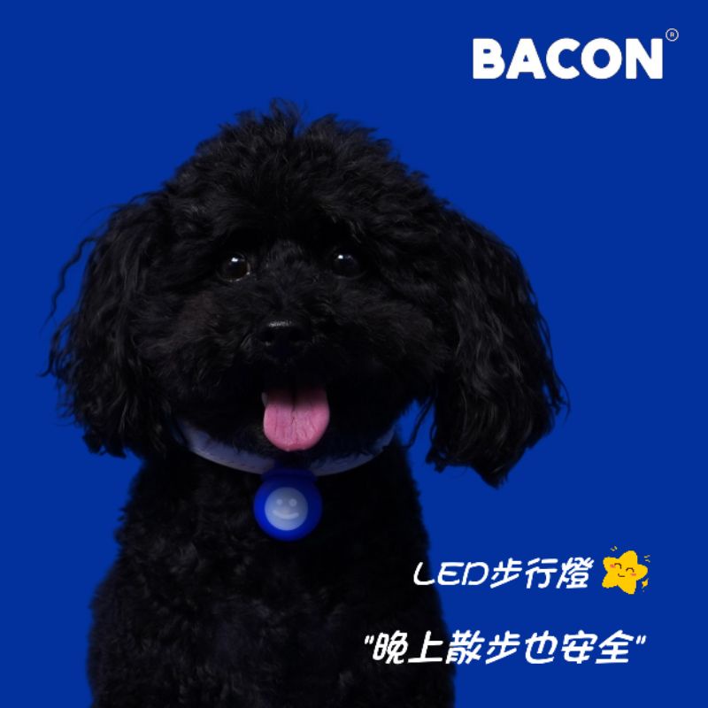 【你和我的狗】 韓國正版 Bacon LED防水燈 寵物燈 【現貨】 寵物項圈 閃光吊飾 散步燈  寵物 溜狗燈