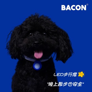 【你和我的狗】 韓國正版 Bacon LED防水燈 寵物燈 【現貨】 寵物項圈 閃光吊飾 散步燈 寵物 溜狗燈