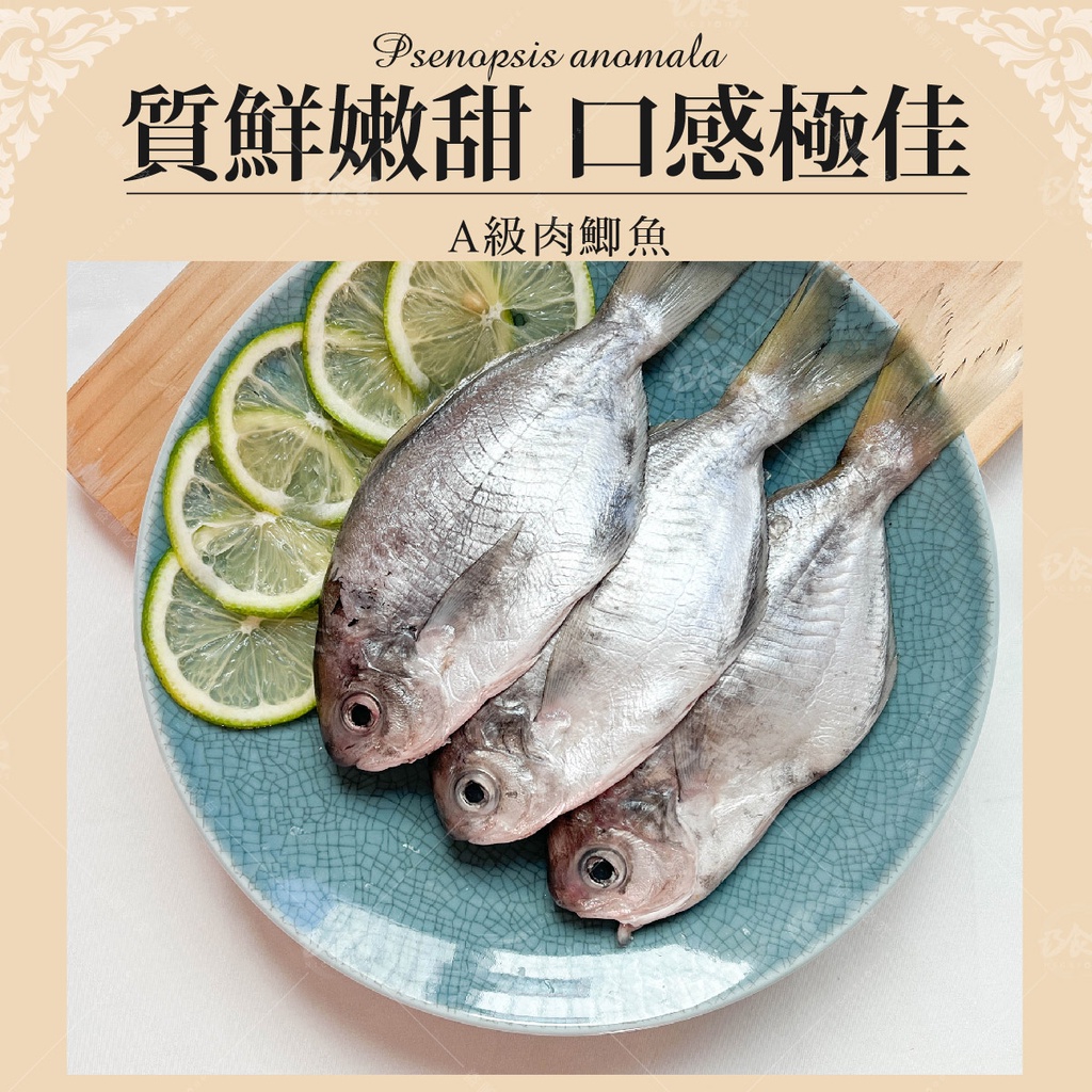 【巧食家】A級肉鯽魚 - 4條裝 (肉魚) 350g 真空包裝