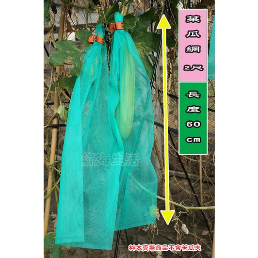 【綠海生活 】菜瓜網 ( 2尺,22.5*60cm*100入 ) 網子 絲瓜網 水果袋 網袋 小米網袋 防蟲網袋